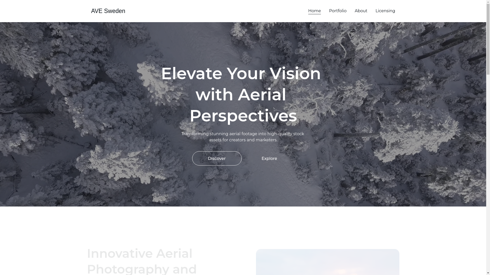 website screenshot of https://a-v-e.se/
