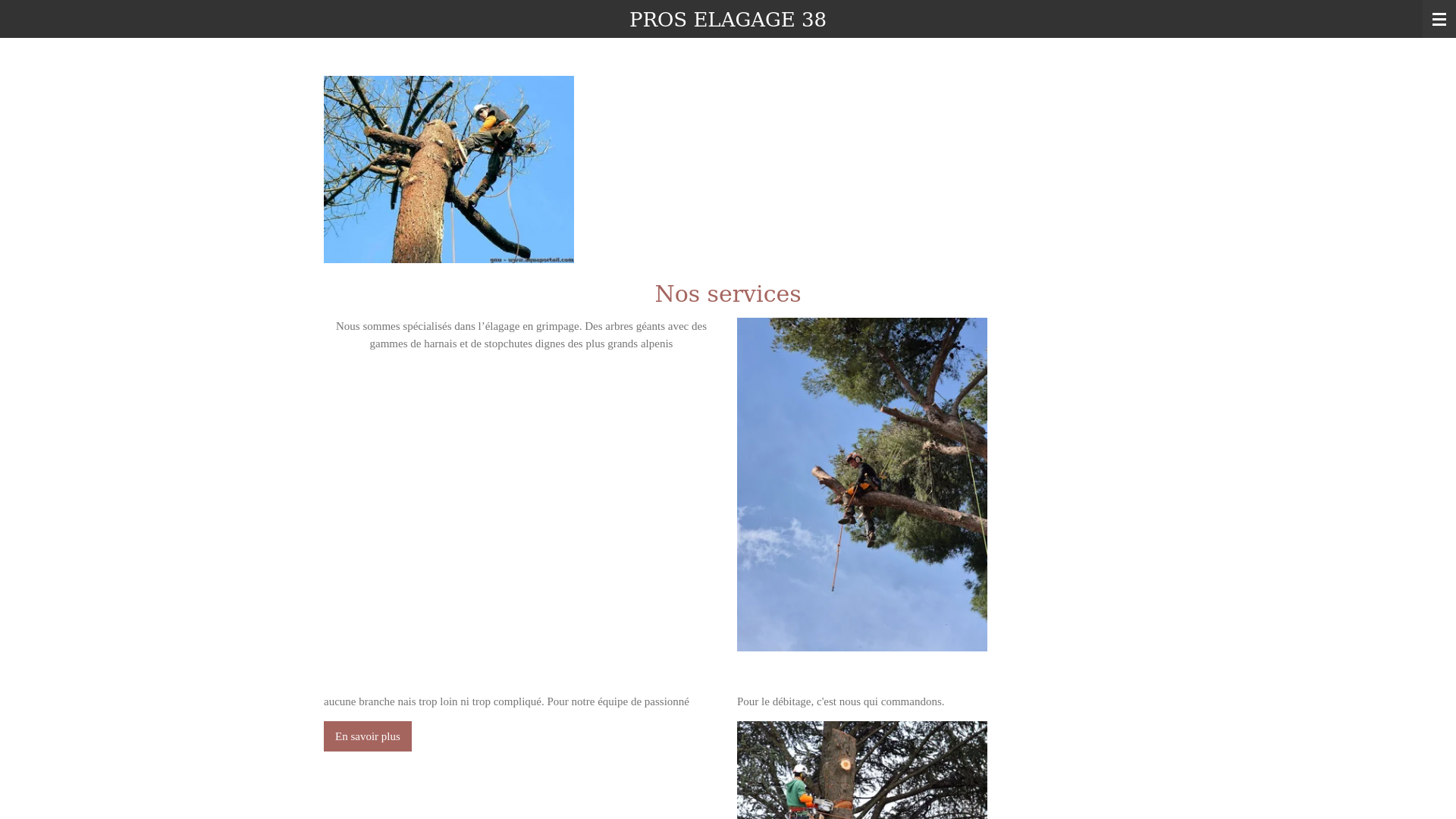 website screenshot of https://lecompagnonpierre.fr/