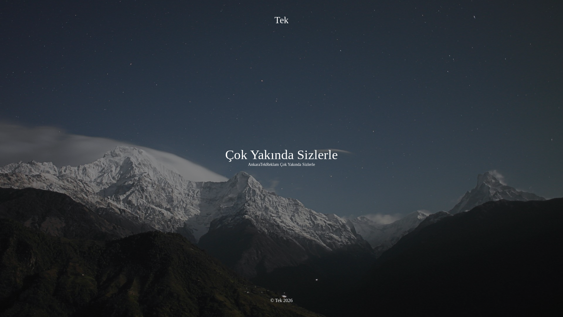 website screenshot of https://ankaratekreklam.com.tr/