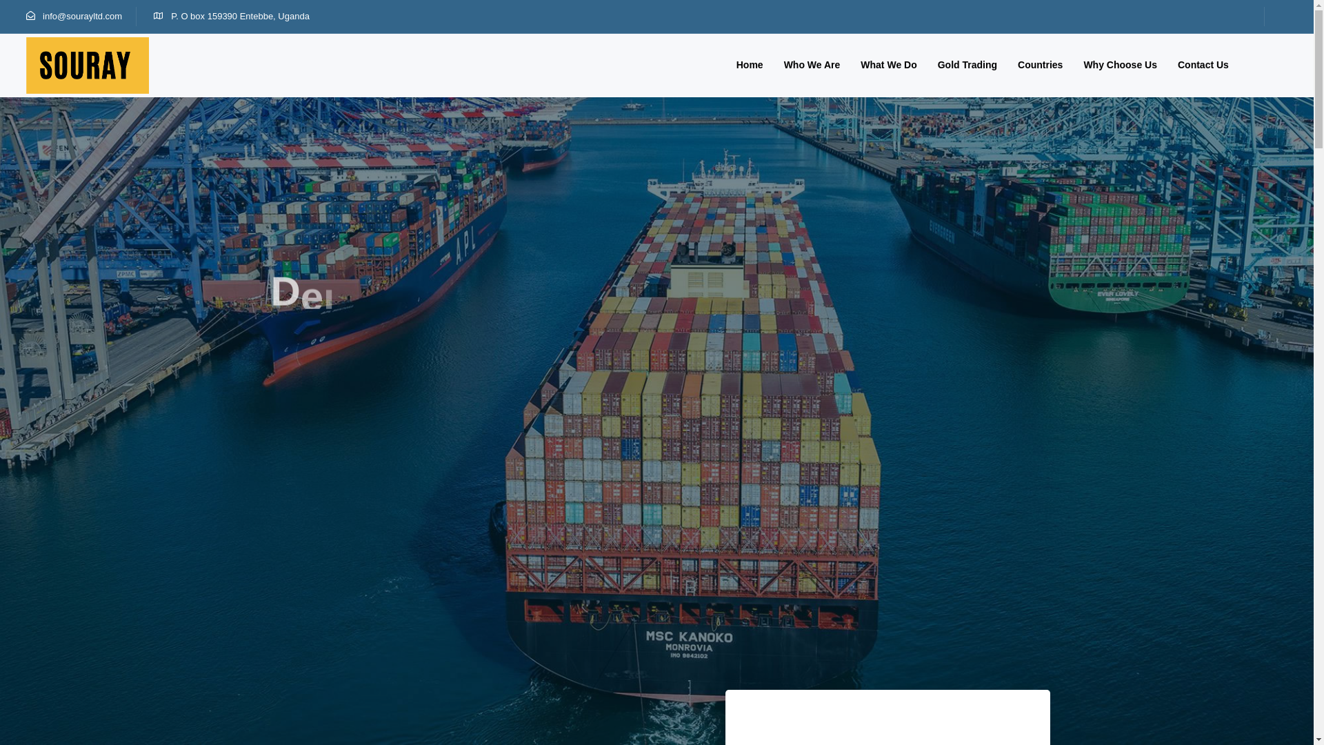 website screenshot of https://thesourayinvestments.com/