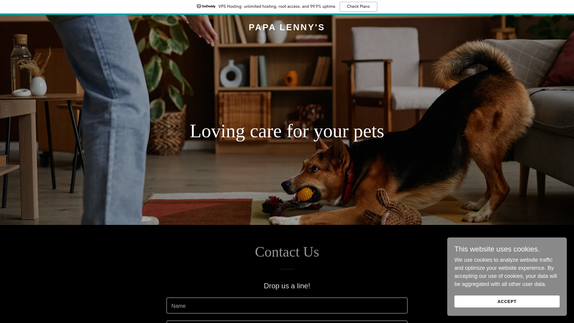 website screenshot of https://papalennys.com/