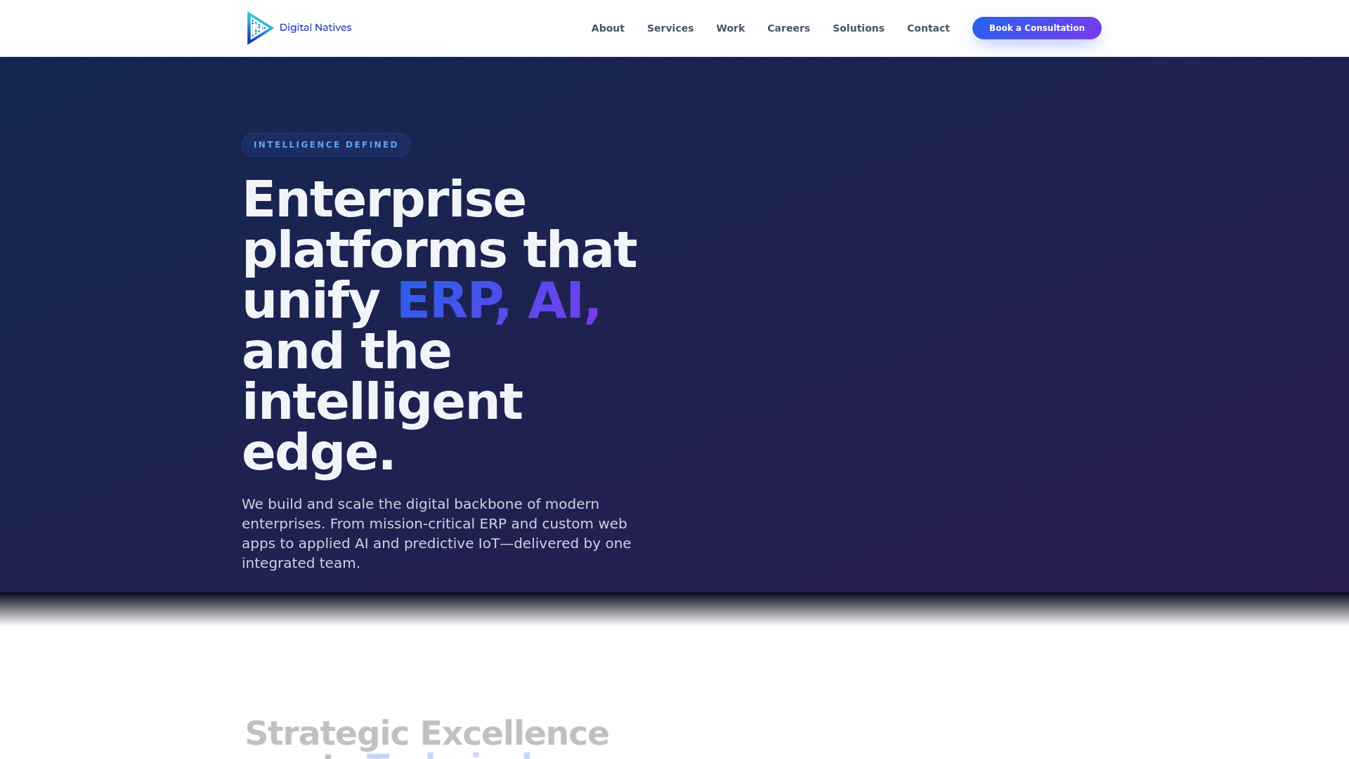 website screenshot of https://dnt-website.pages.dev/