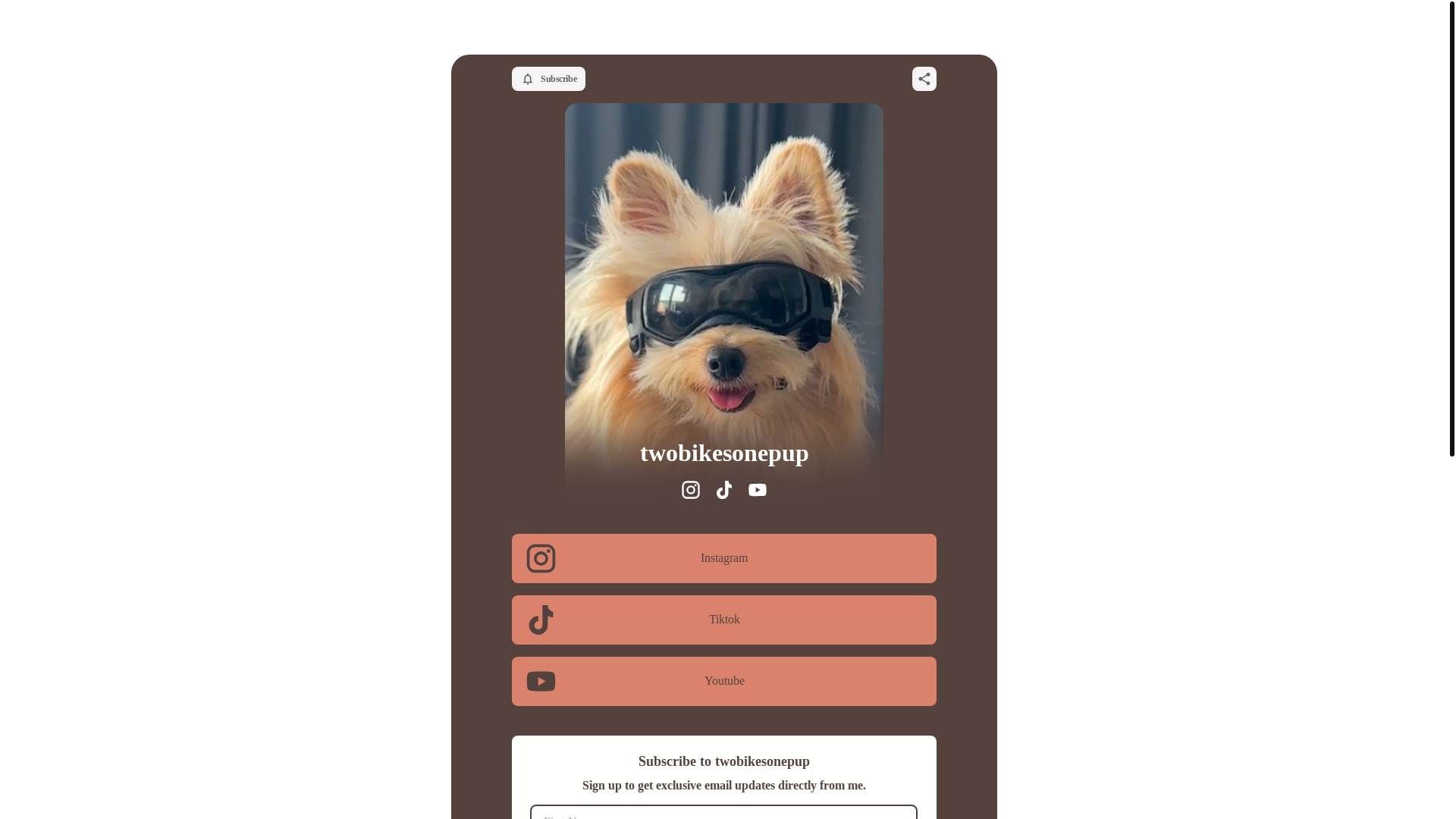 website screenshot of https://twobikesonepup.com/