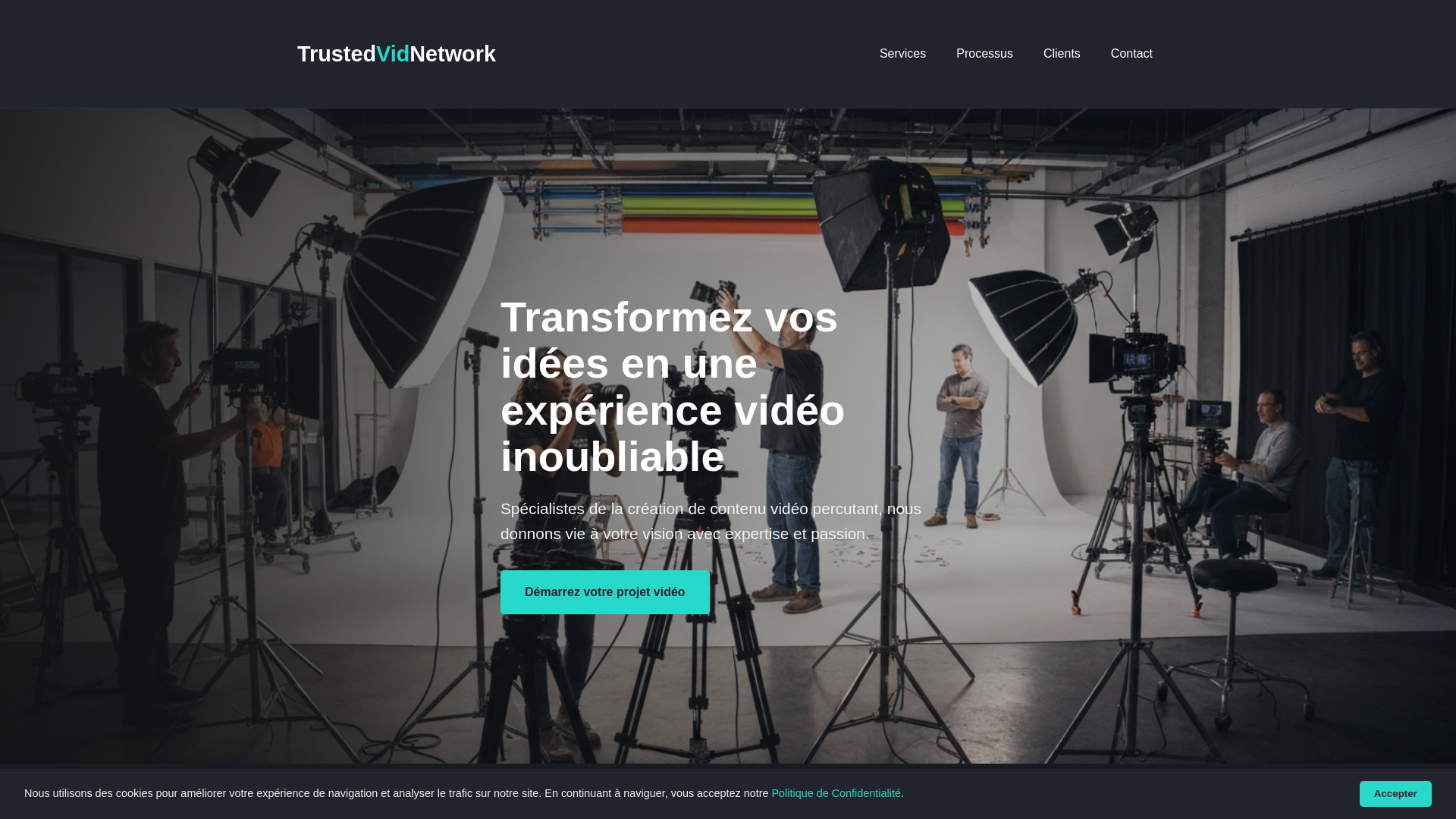 website screenshot of https://trustedvidnetwork.click/