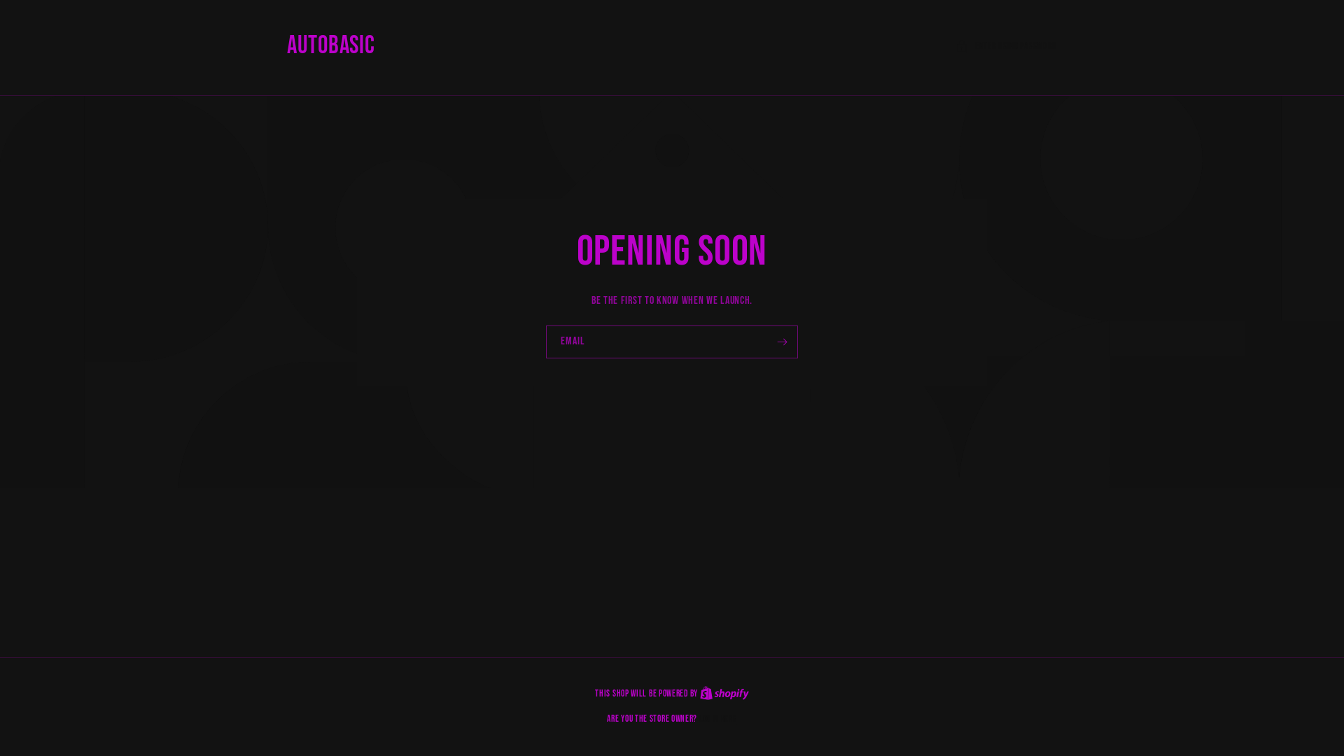 website screenshot of https://autobasic.at/