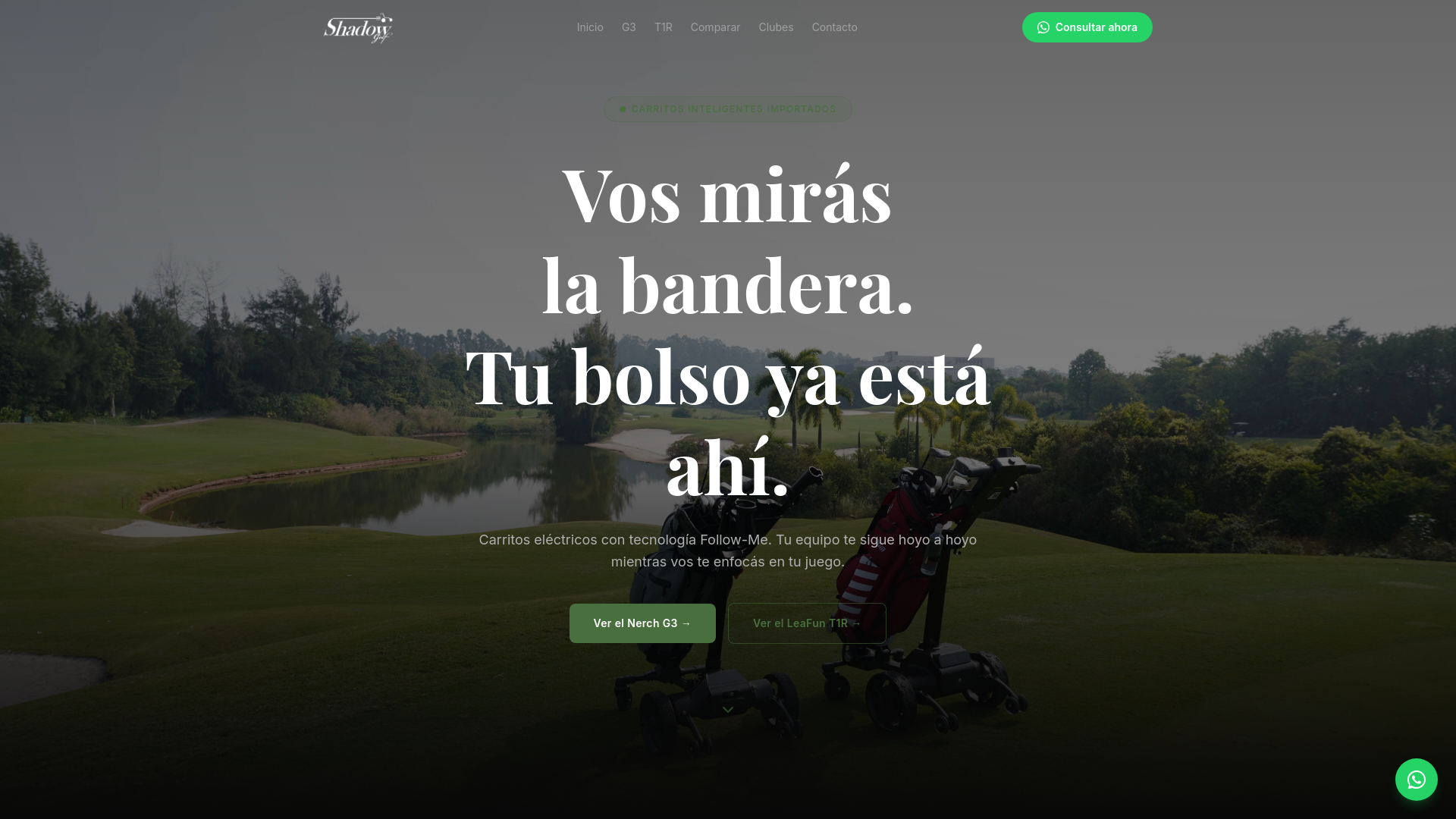 website screenshot of https://shadowgolf.com.ar/
