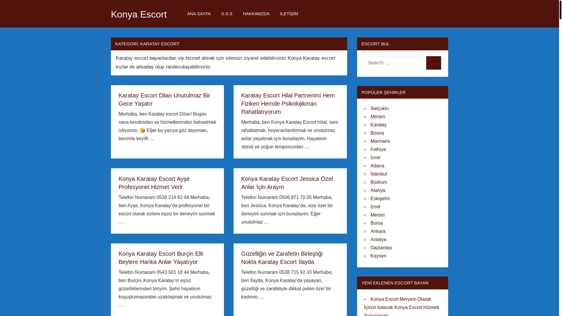 website screenshot of https://mersinescortx1.shop/