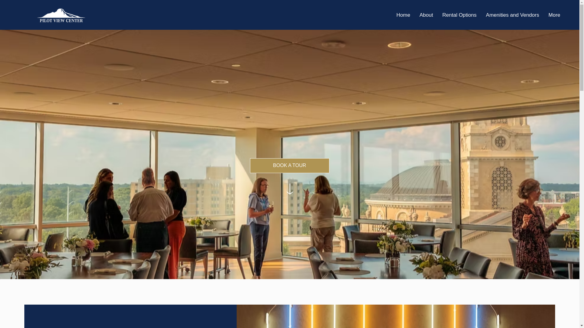 website screenshot of https://pilot-view-center.com/