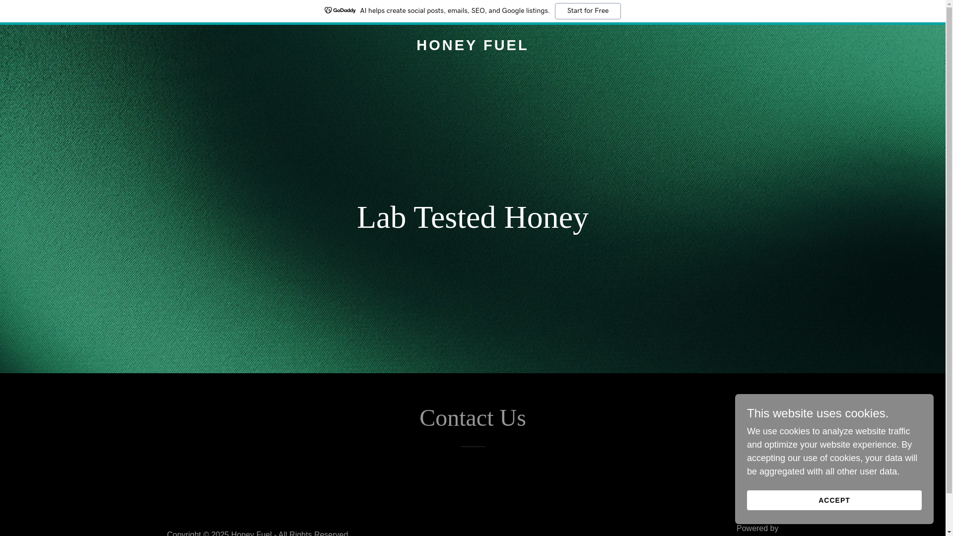 website screenshot of https://honeyfuel.in/