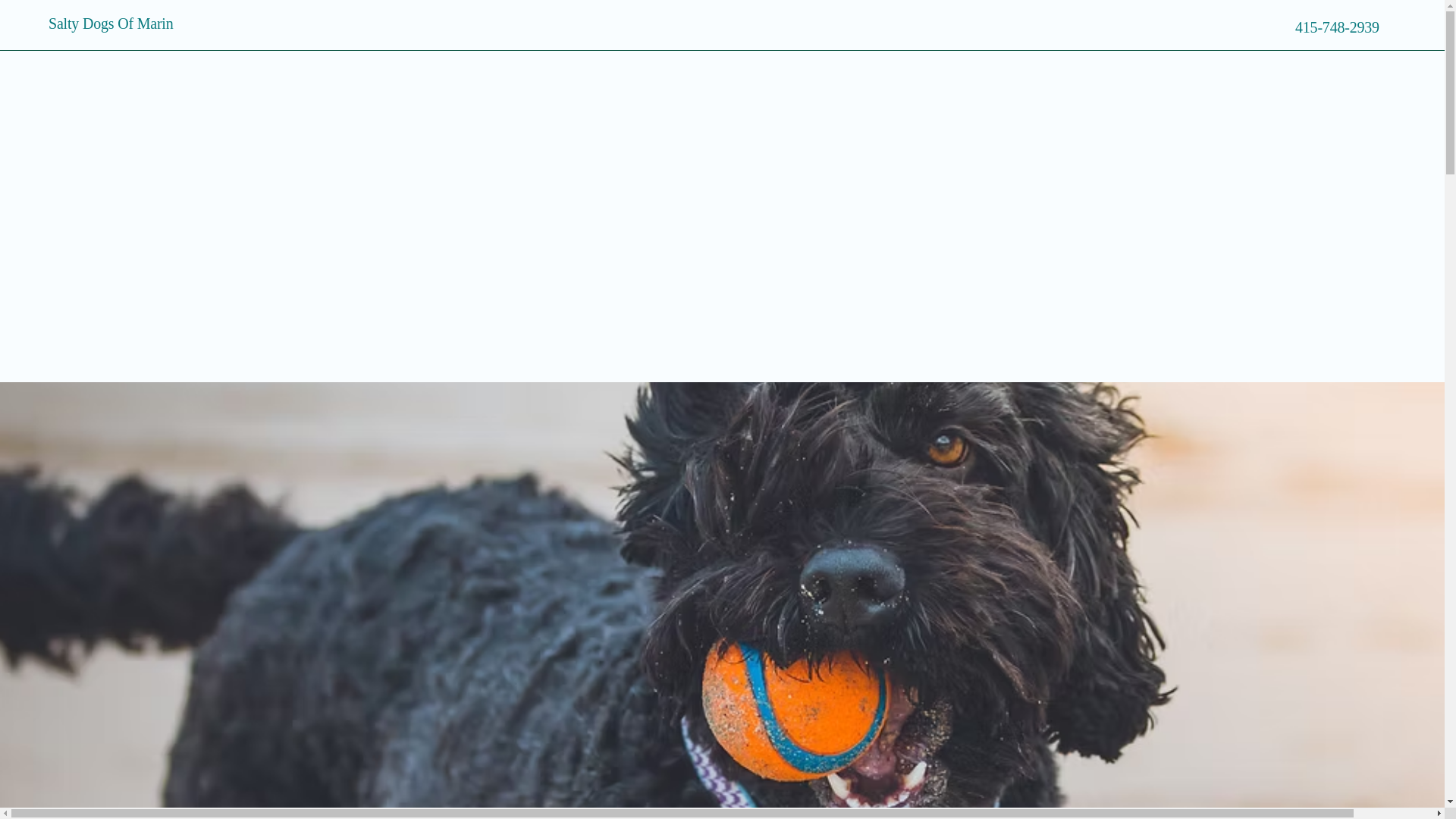 website screenshot of https://saltypawsofmarin.com/