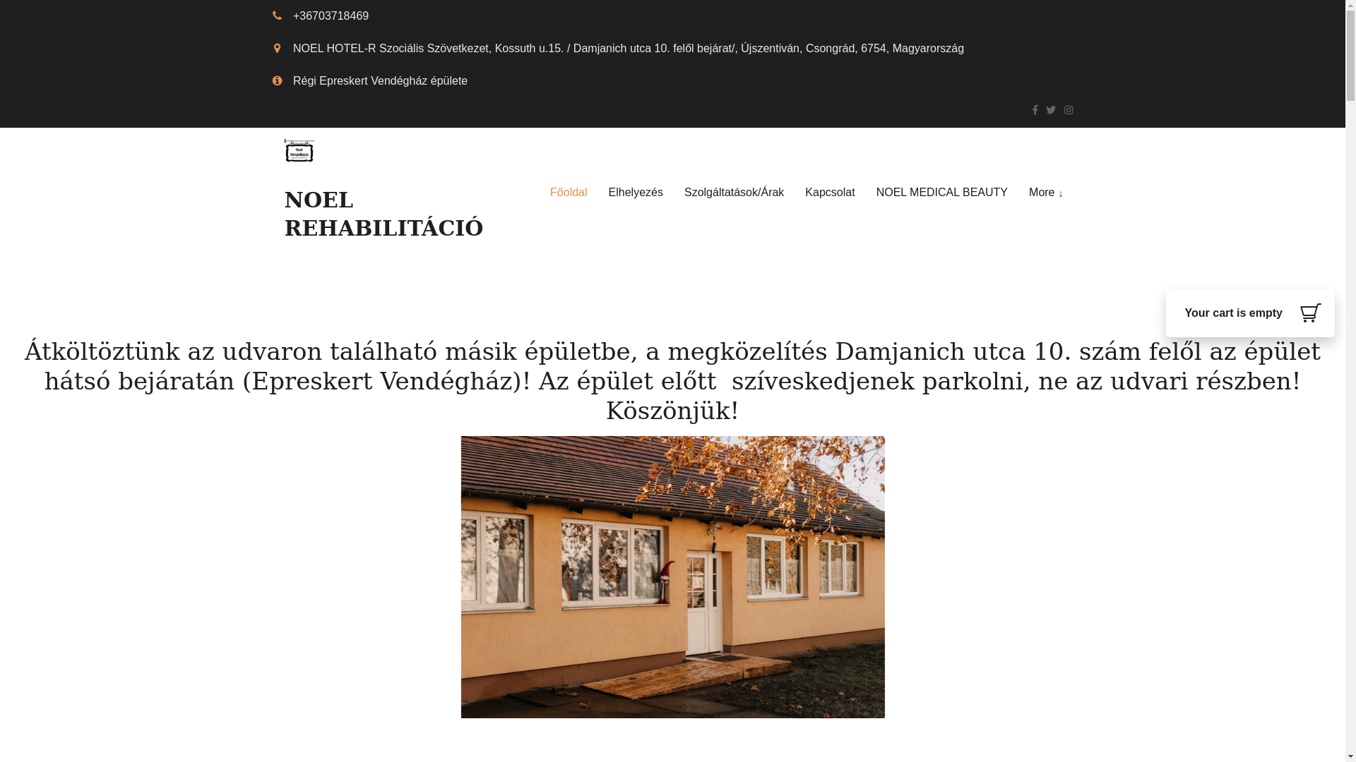 website screenshot of https://noelrehab.com/