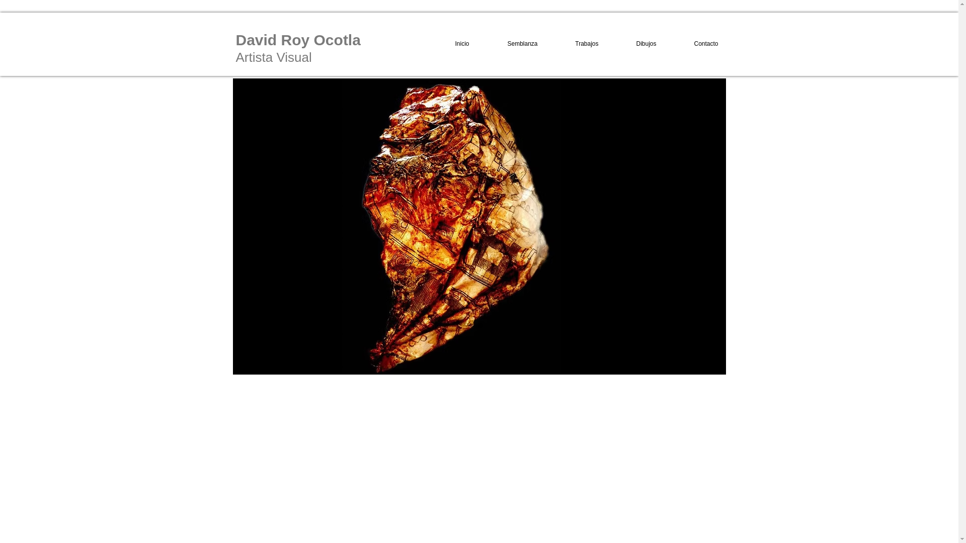 website screenshot of https://royocotla.com/