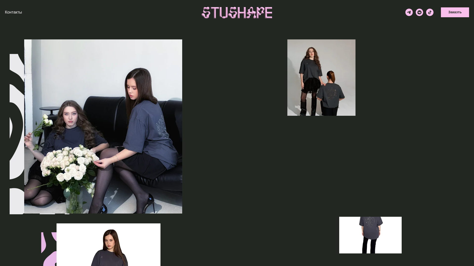 website screenshot of https://stushape.ru/