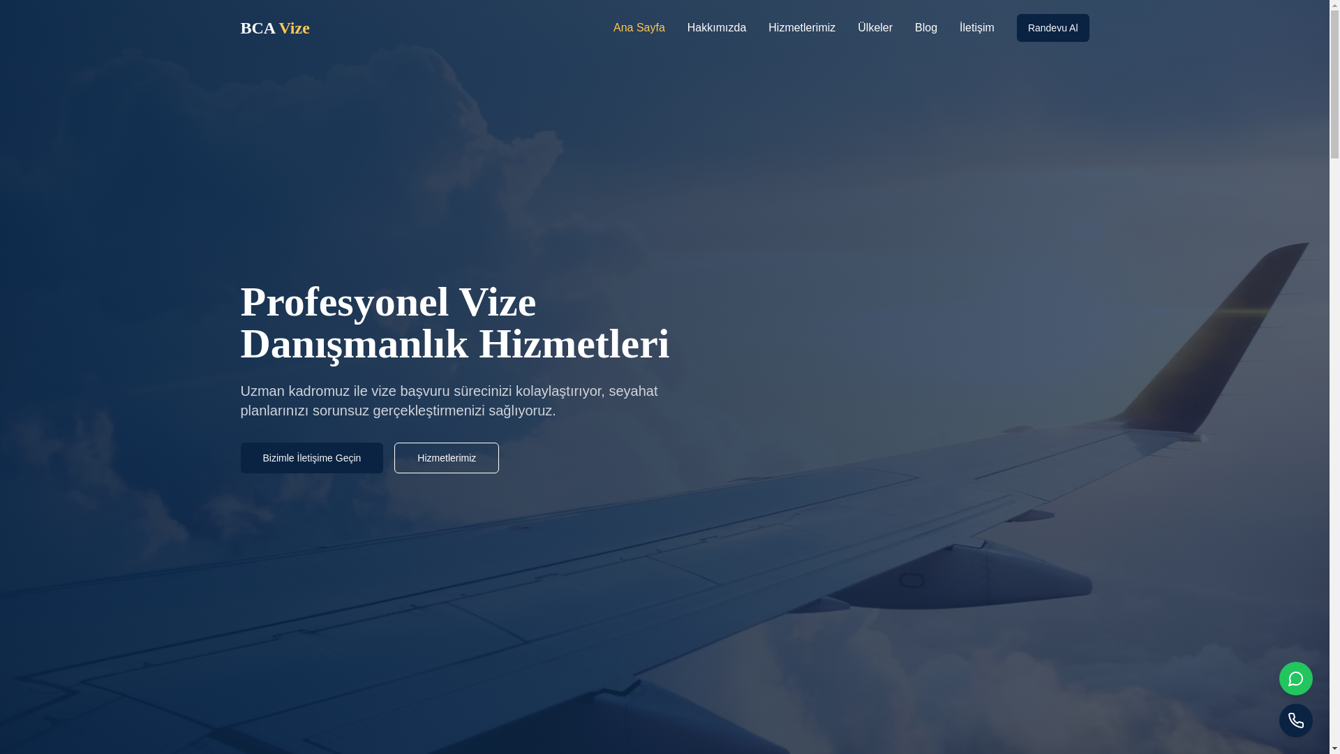 website screenshot of https://bcavize.net/
