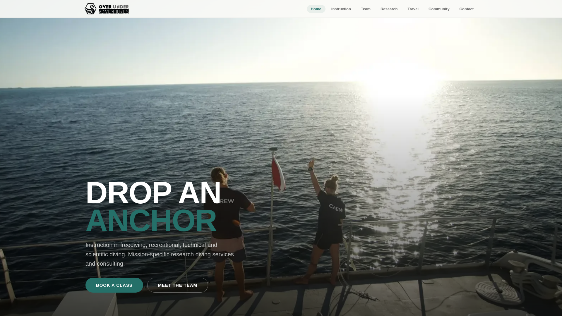 website screenshot of https://diveoua.com/