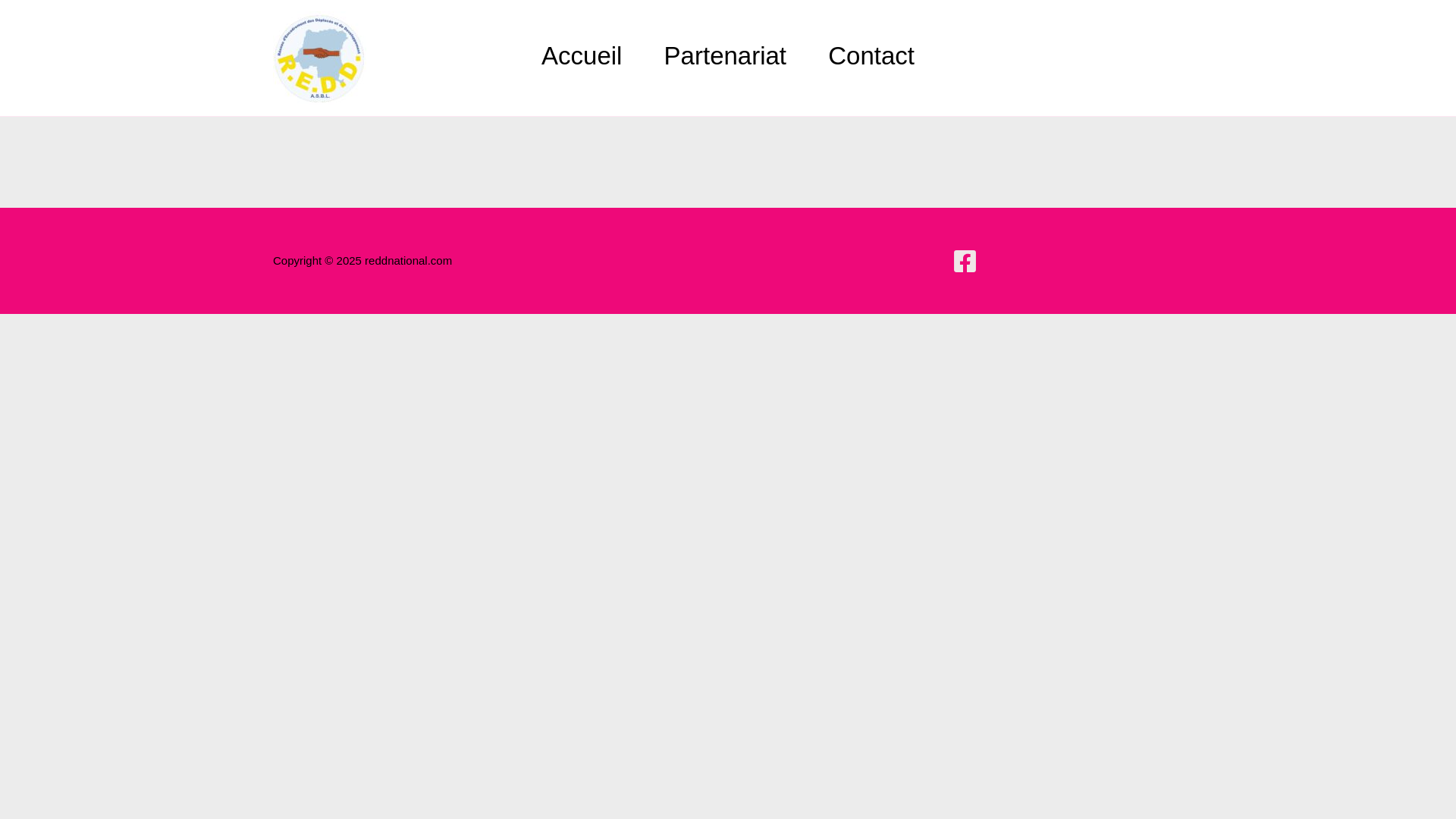 website screenshot of https://reddnational.com/