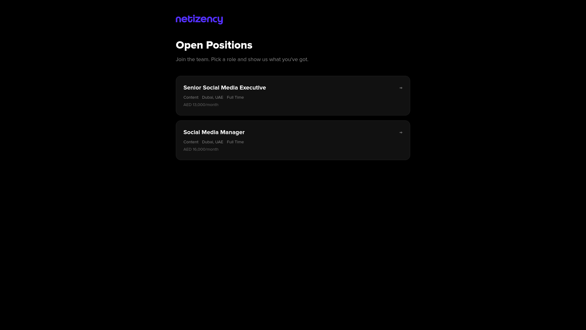 website screenshot of https://the-netizency-test.pages.dev/