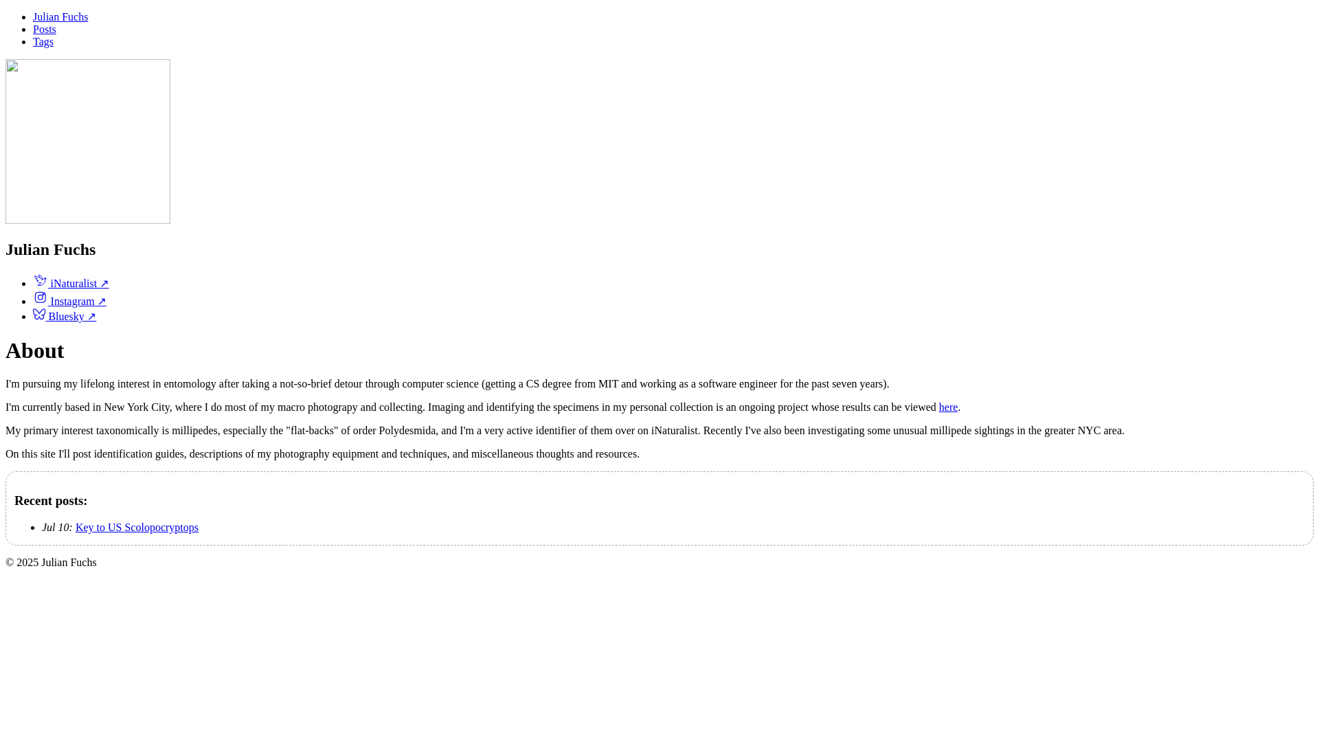 website screenshot of https://jfuchs-test.pages.dev/