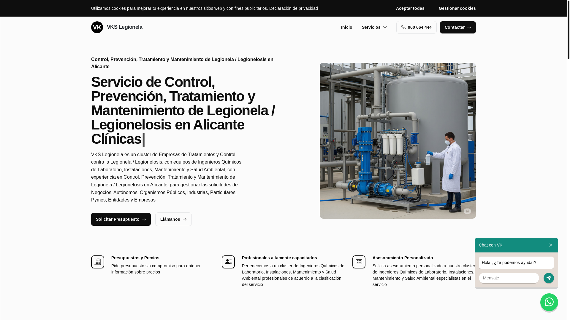website screenshot of https://vkslegionelaalicante.es/