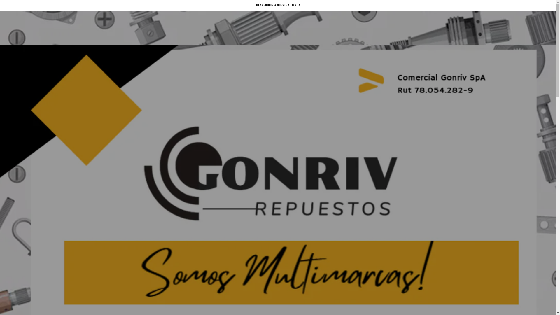 website screenshot of https://gonrivrepuestos.cl/