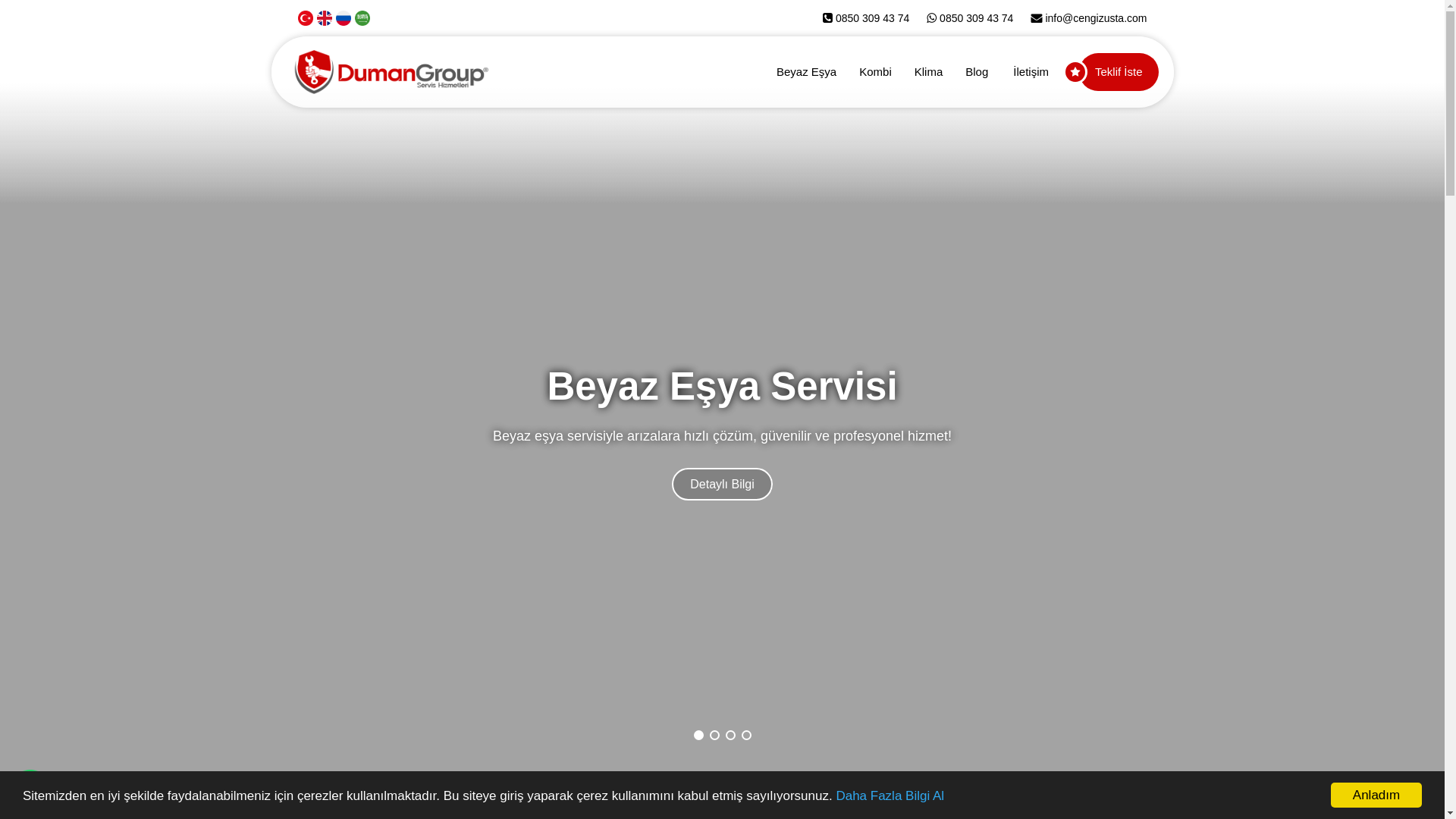 website screenshot of https://dumangroupservis.com/