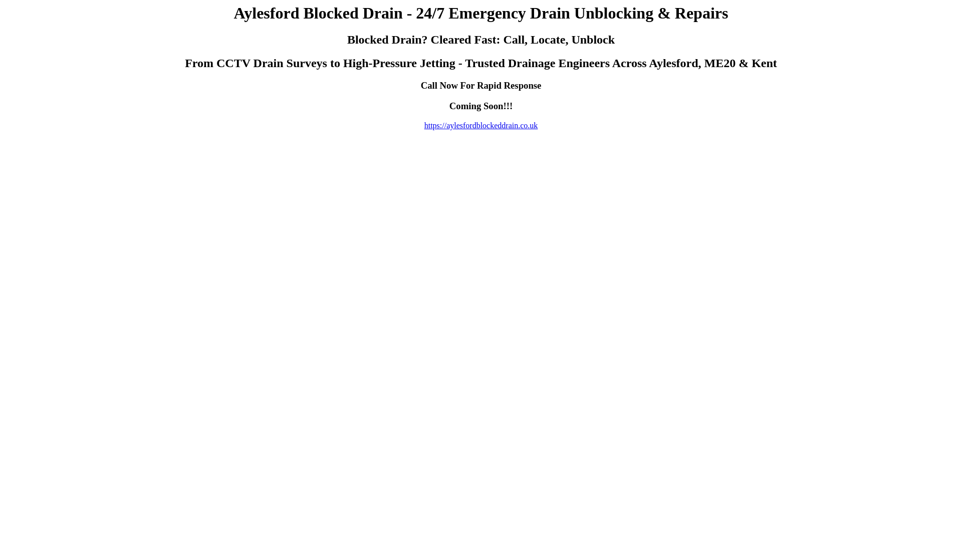 website screenshot of https://aylesfordblockeddrain.co.uk