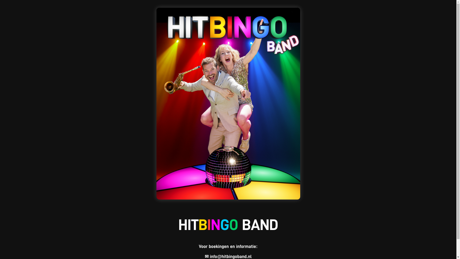 website screenshot of https://hitsterbingoband.nl/