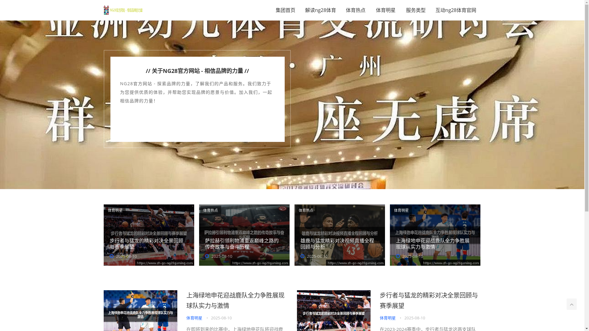 website screenshot of https://zh-go-ng28gaming.com/
