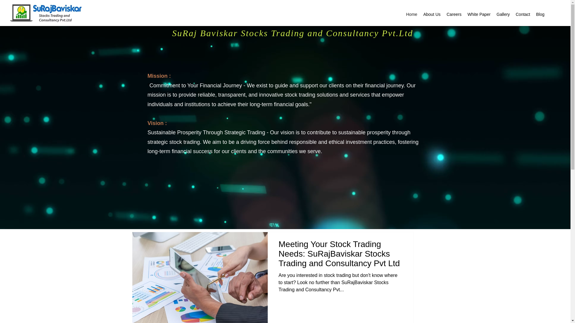 website screenshot of https://surajbaviskar.com/