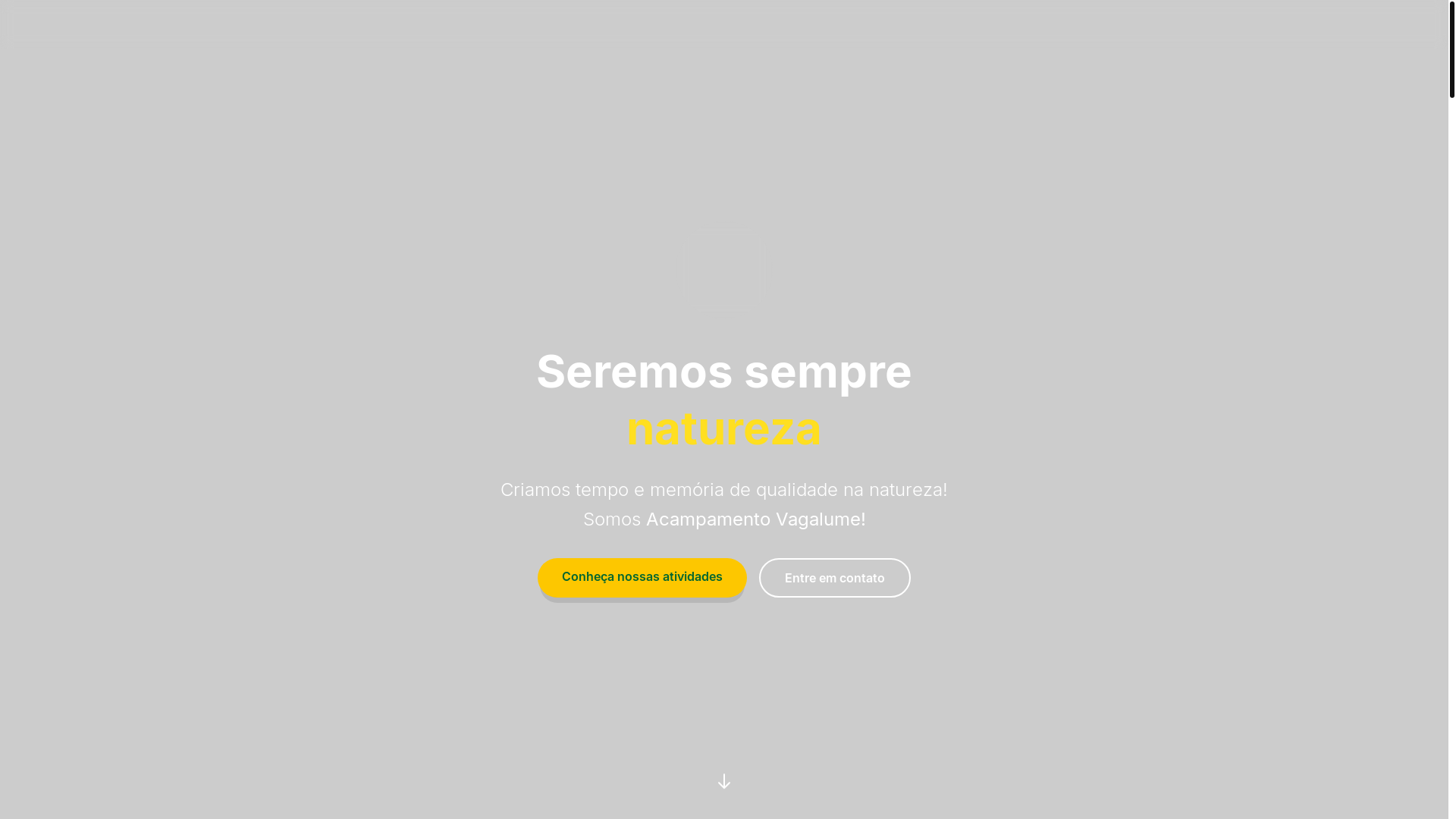 website screenshot of https://acampamentovagalume.pages.dev/