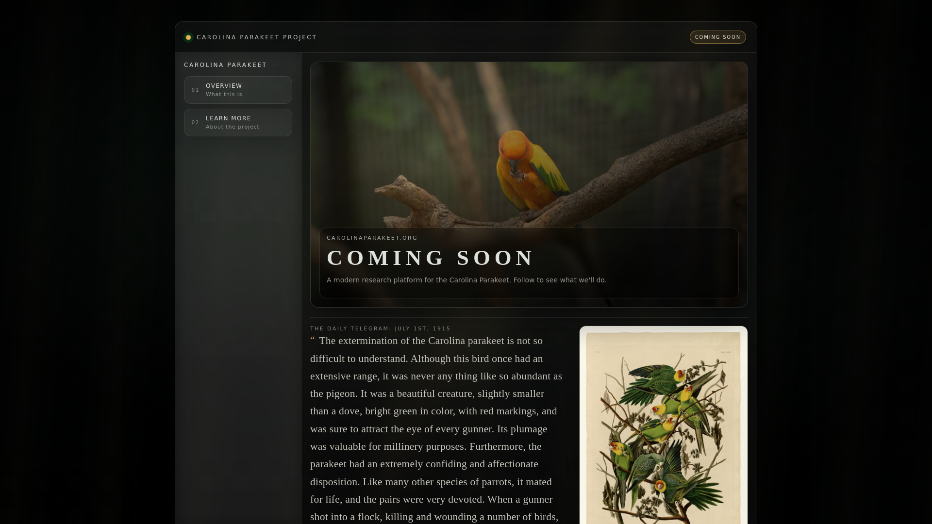 website screenshot of https://carolinaparakeet.org/