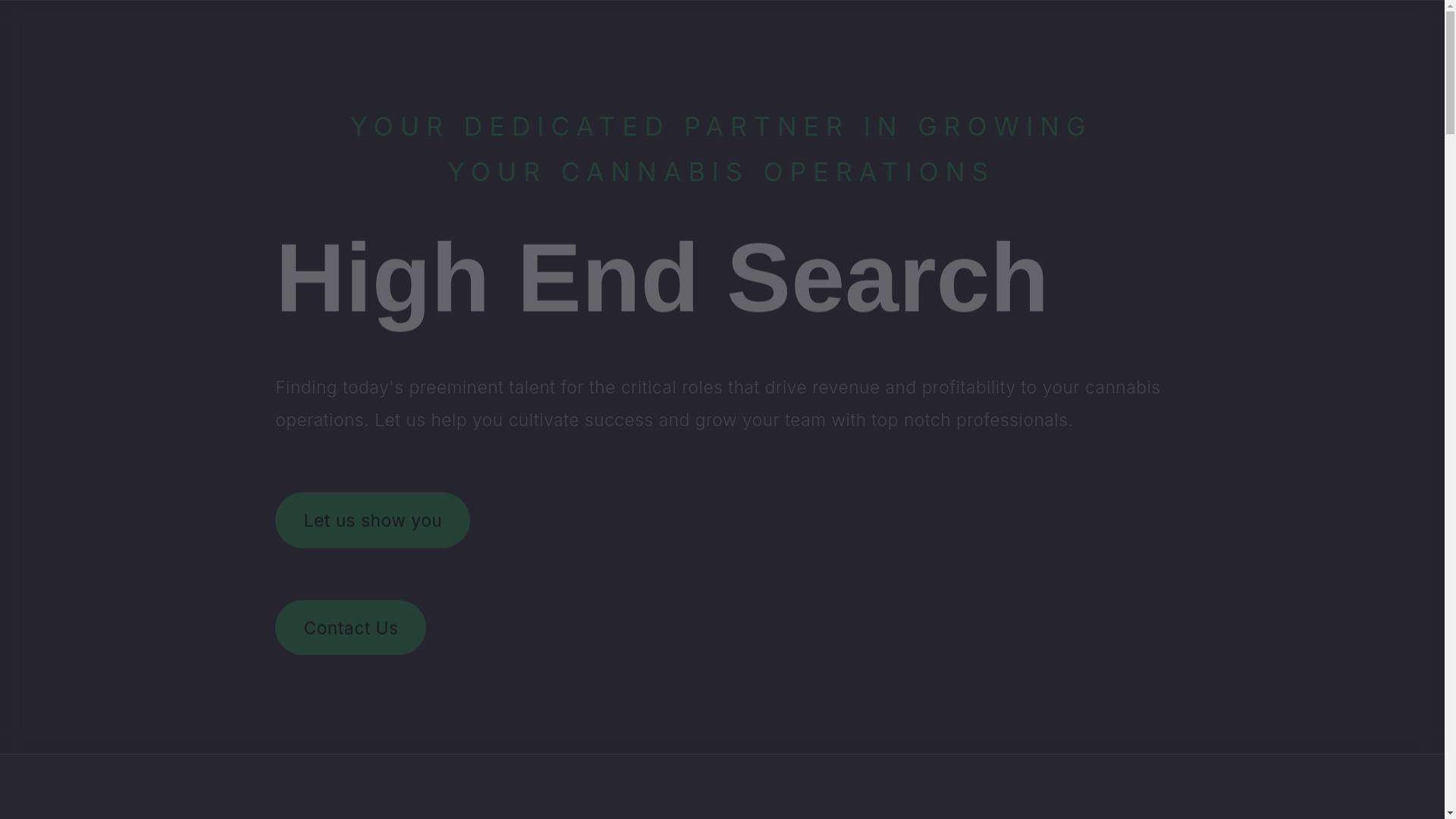 website screenshot of https://highendsearch.info/