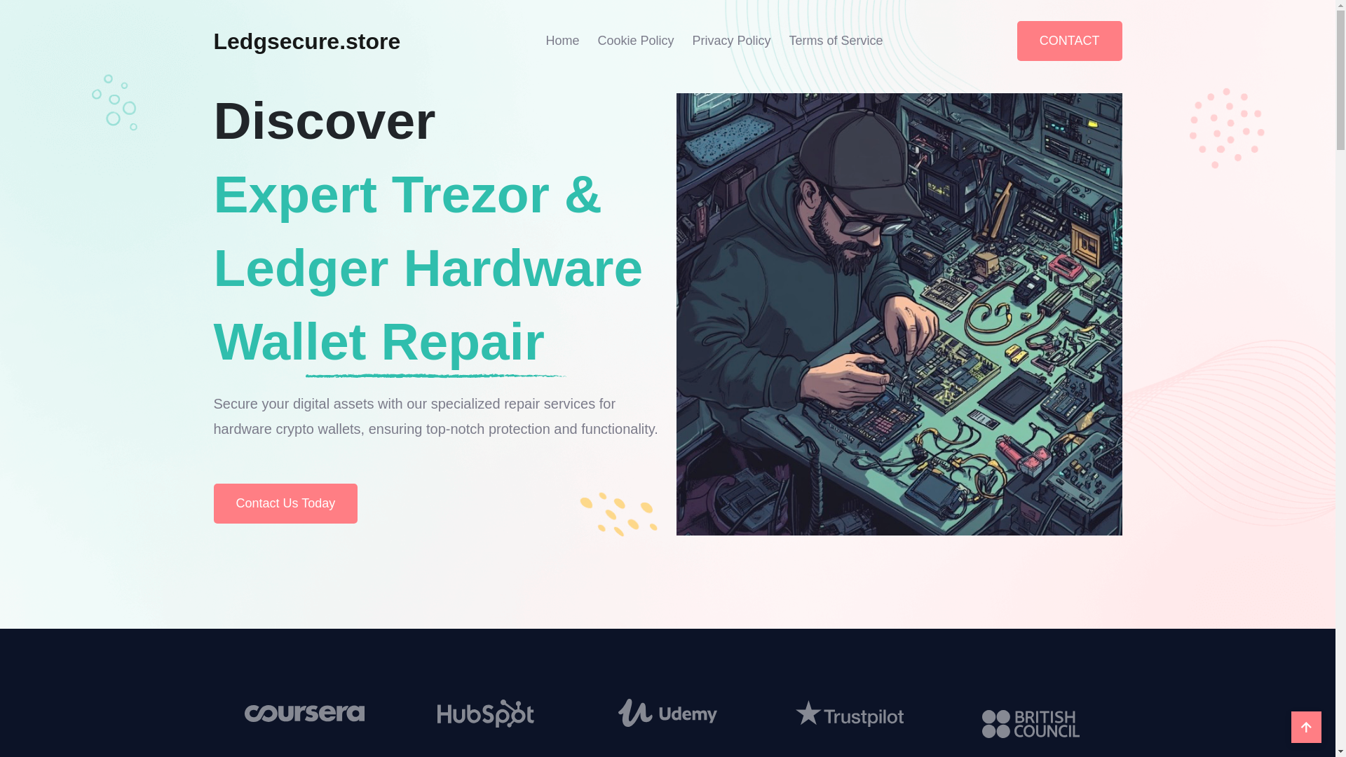 website screenshot of https://ledgsecure.store/