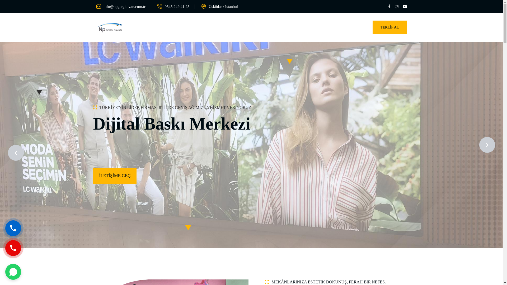website screenshot of https://npgergitavan.com.tr/
