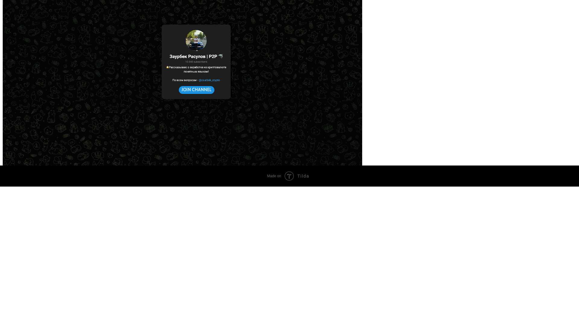 website screenshot of https://zaurvalutka.site/
