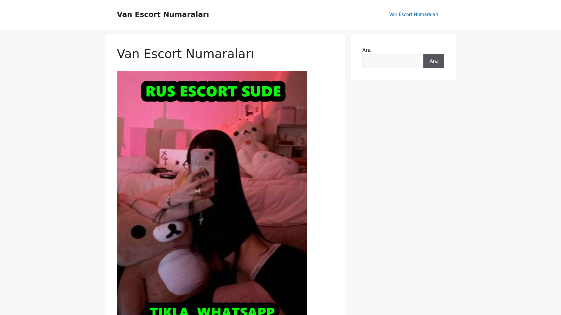 website screenshot of https://vanescortnumaralari.cfd