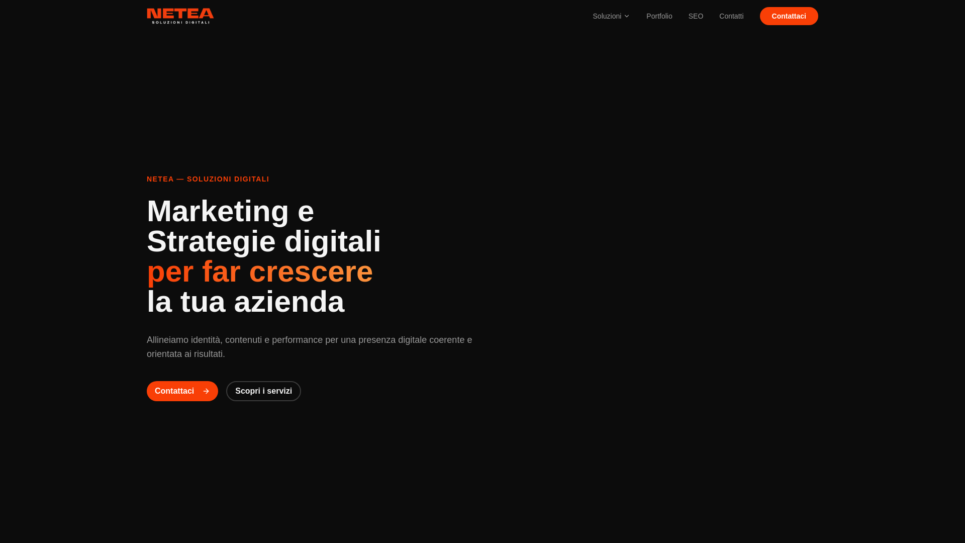 website screenshot of https://netea.pages.dev/