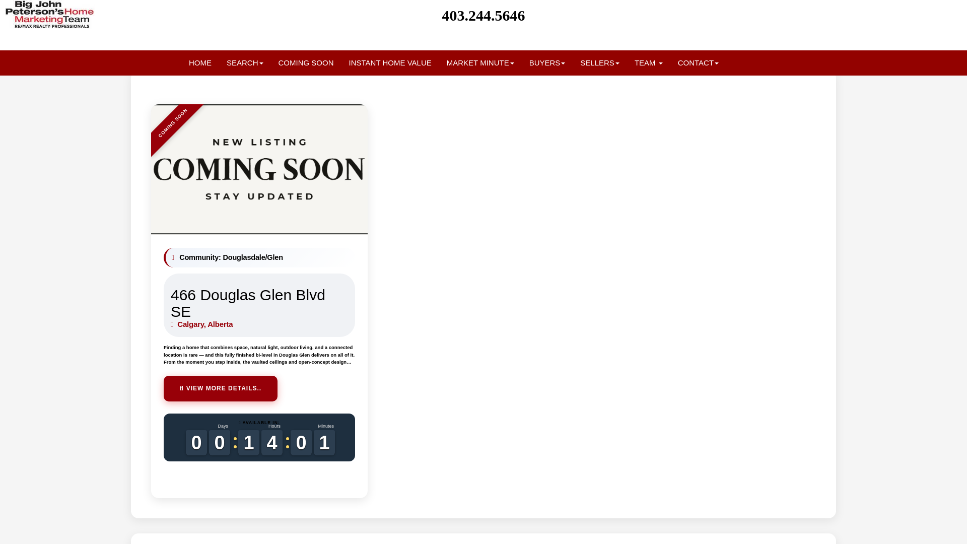 website screenshot of https://466douglasglenblvd.com/