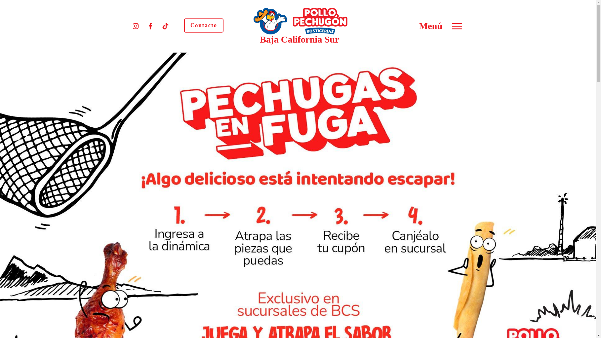 website screenshot of https://pechugonbcs.com.mx/