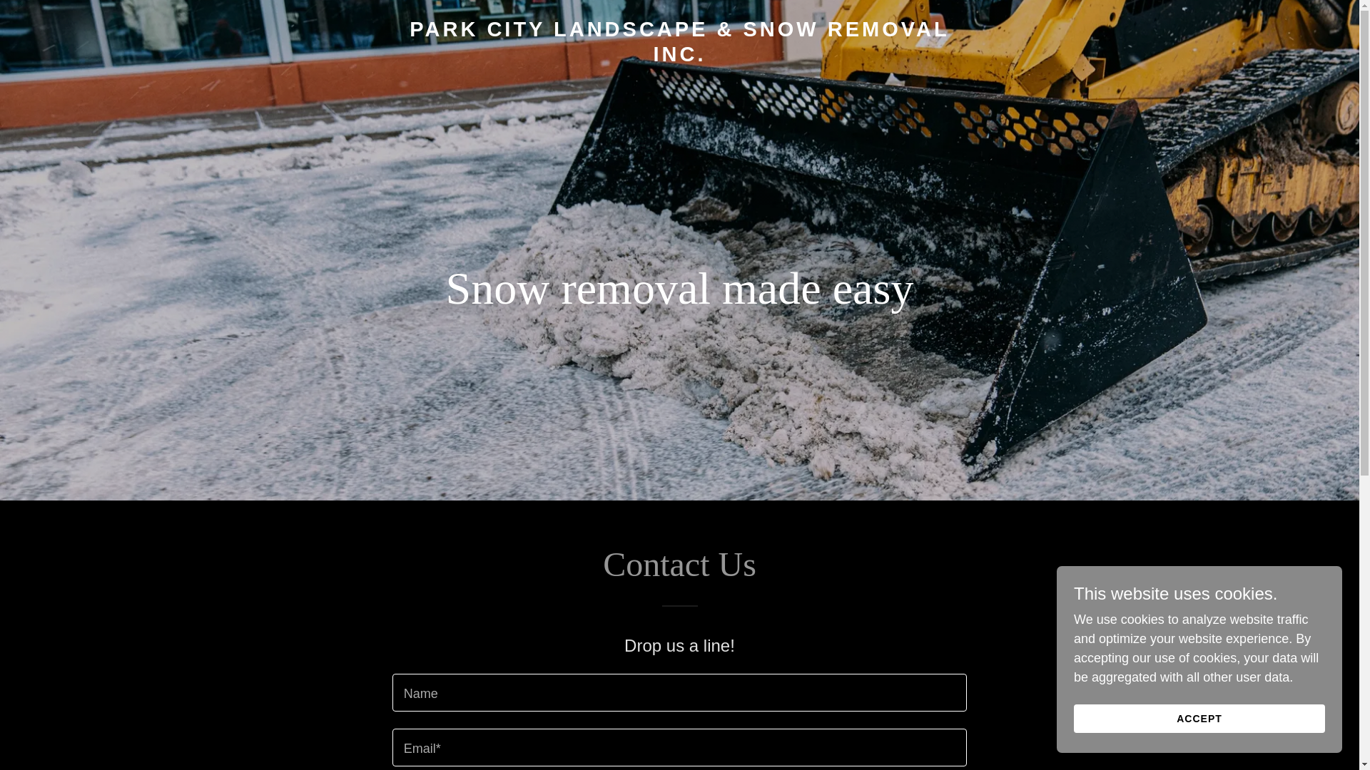 website screenshot of https://prosnowfighter.com/
