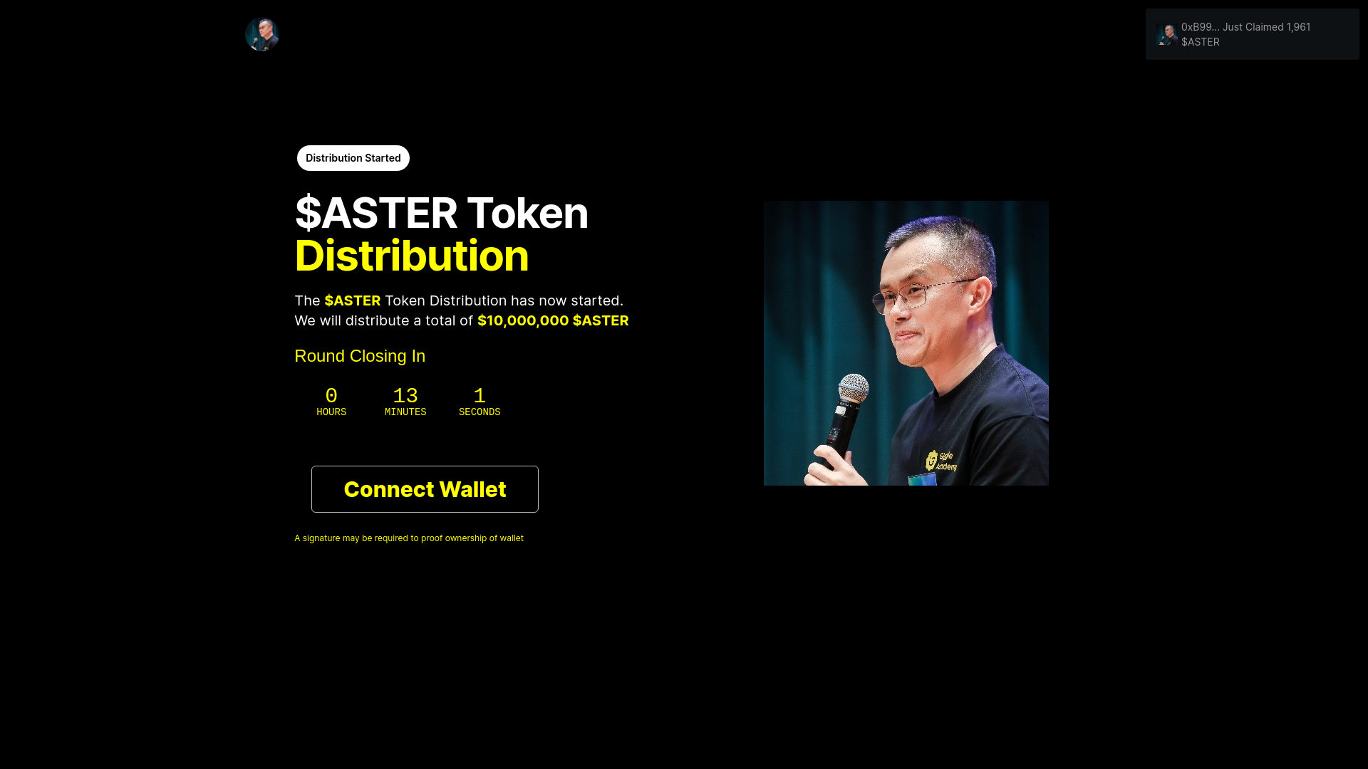 website screenshot of https://asterscz-allocations.xyz/