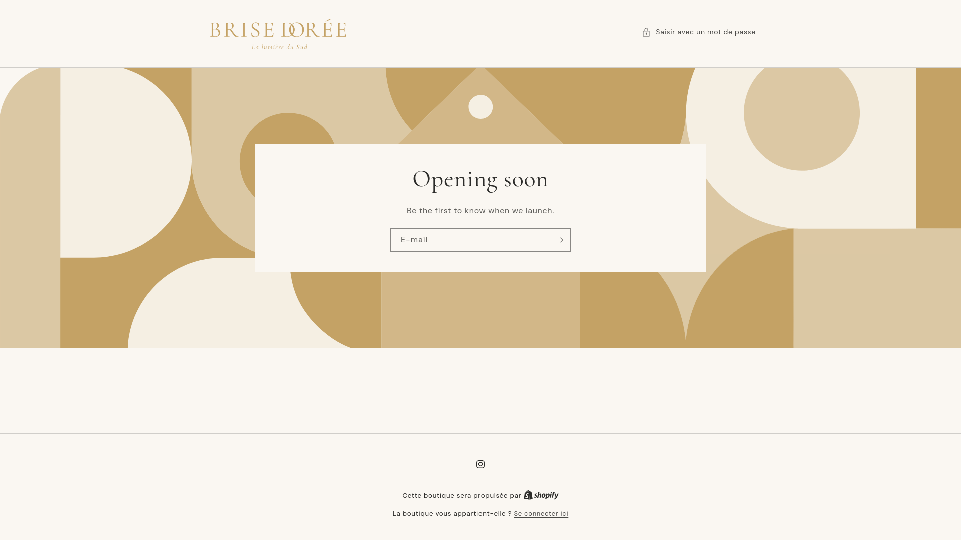 website screenshot of https://brisedoree.fr/
