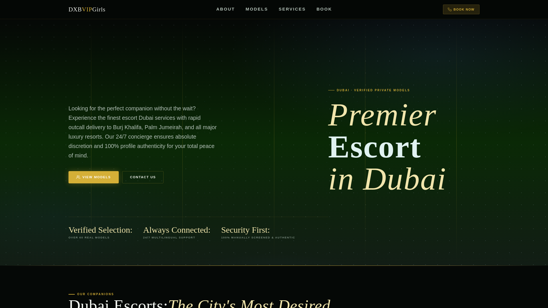 website screenshot of https://dxbvipgirls.com