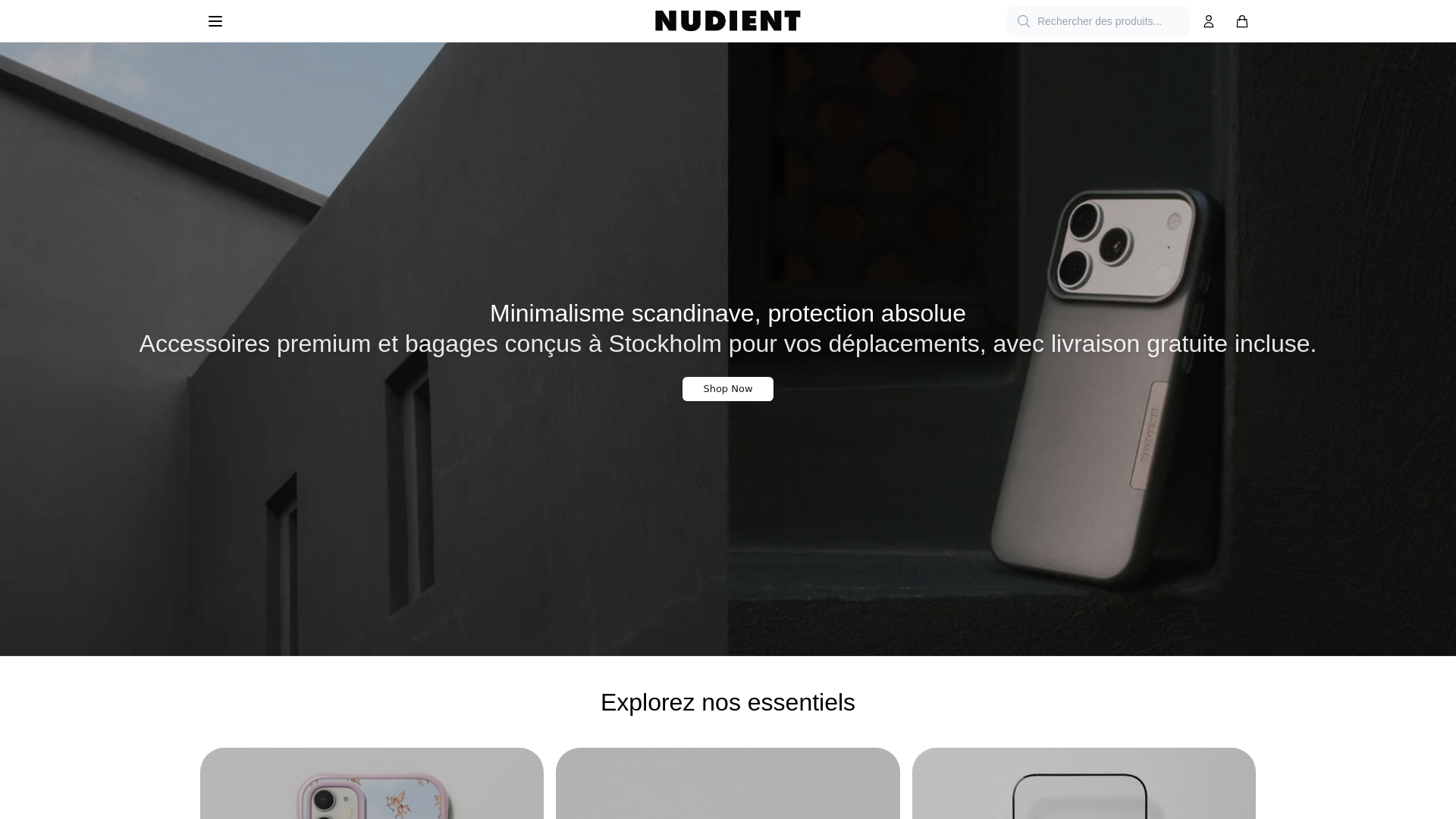 website screenshot of https://nudientfashion.shop