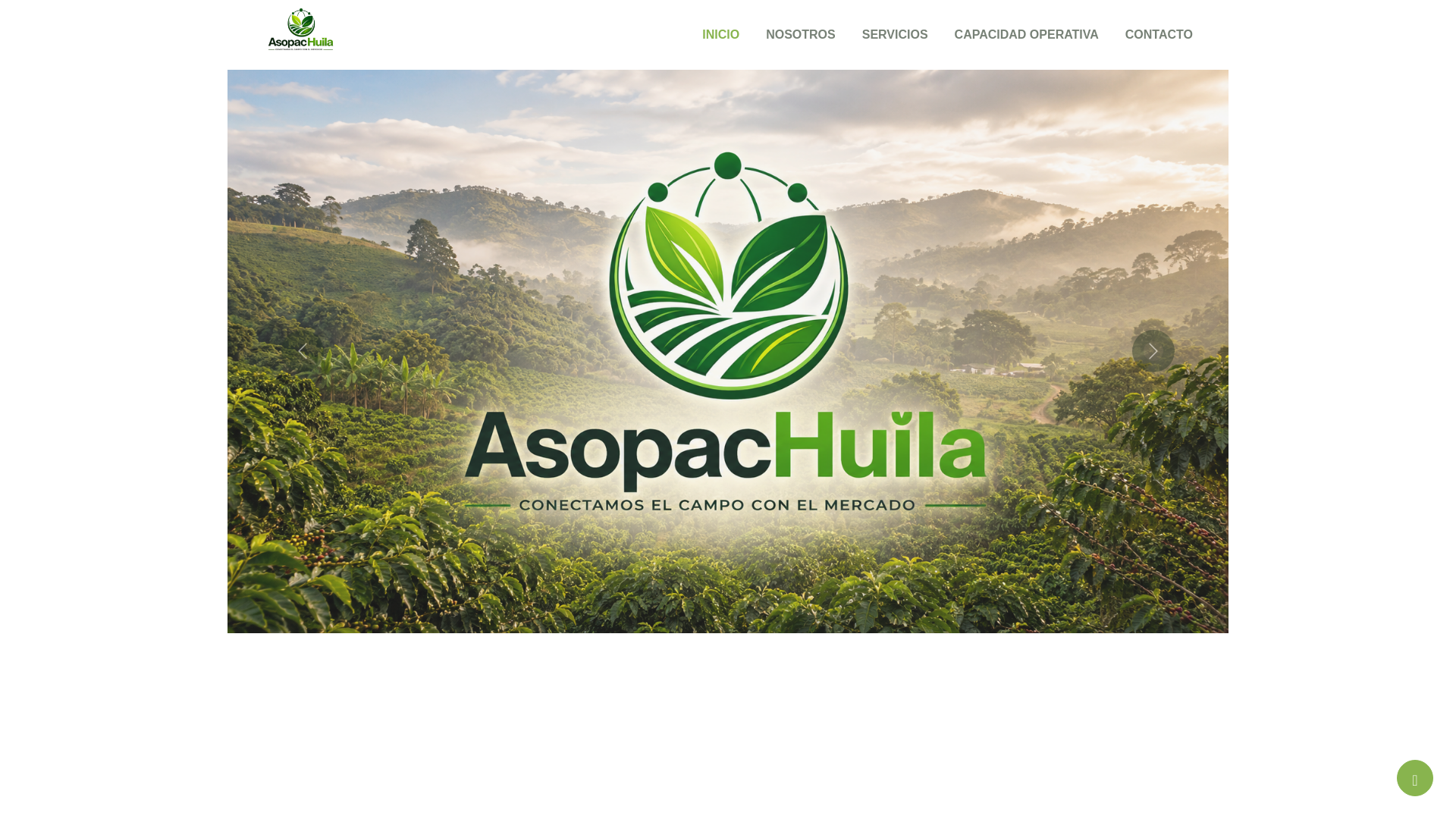 website screenshot of https://asopachuila.com/