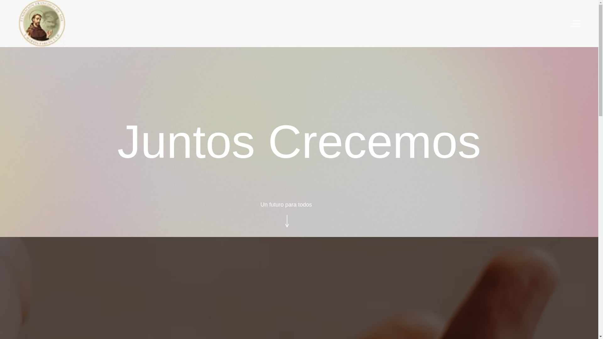 website screenshot of https://fcoymartinfarfan.org/