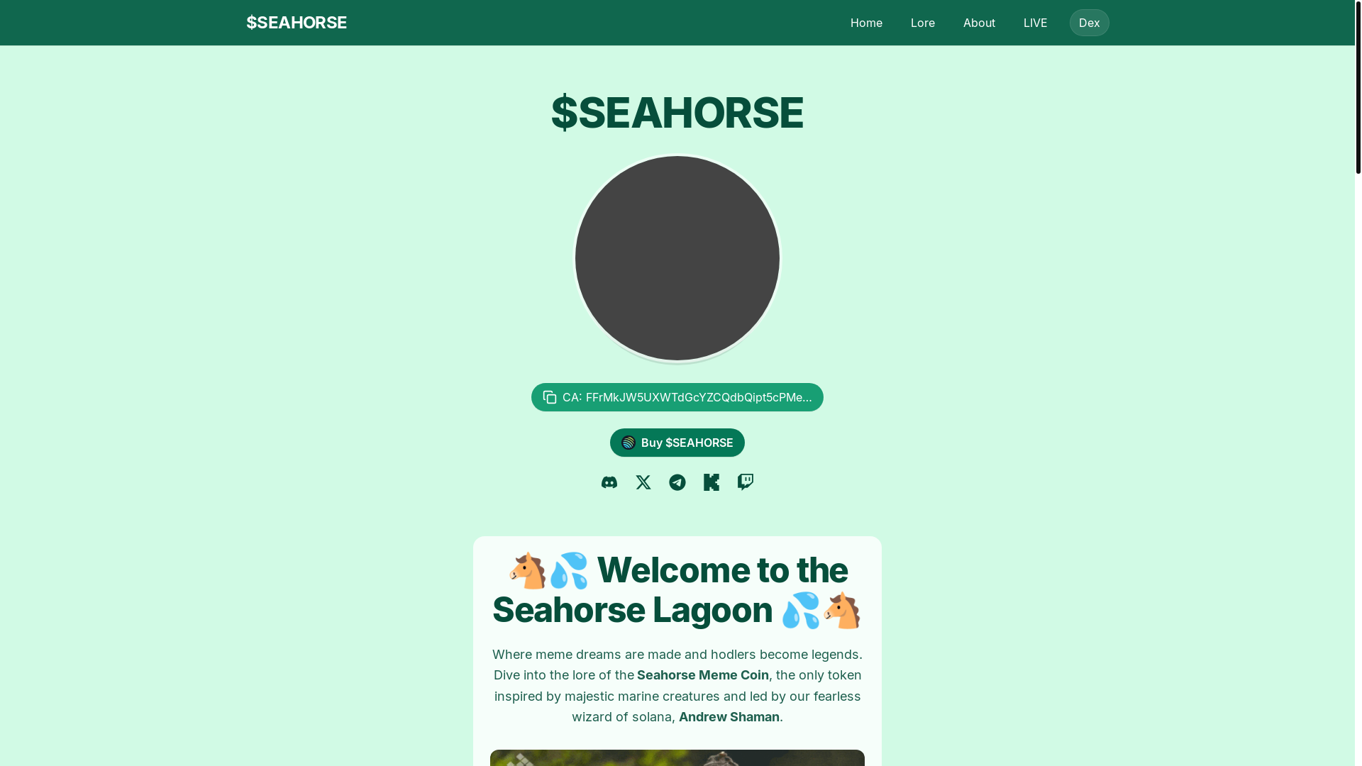website screenshot of https://seahorsememe.xyz/