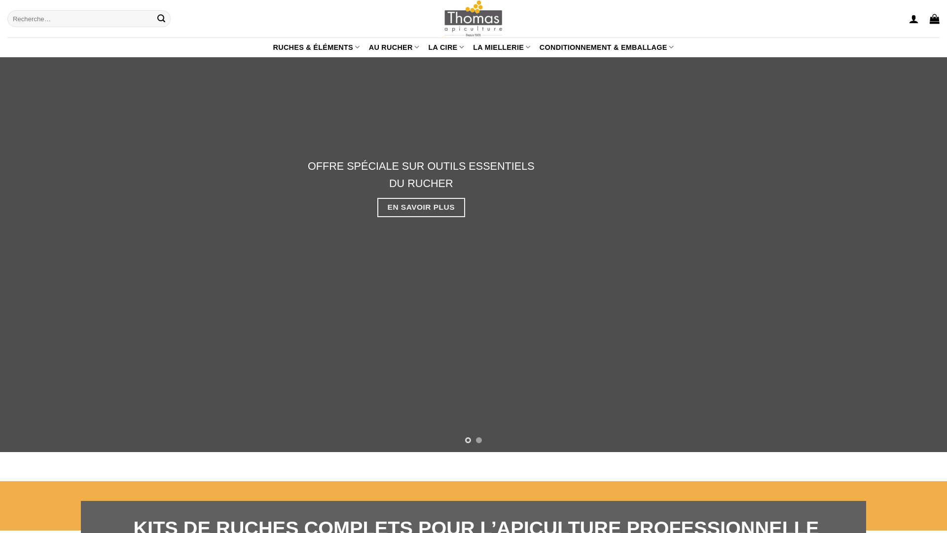 website screenshot of https://thomas-apiculturefr.com/