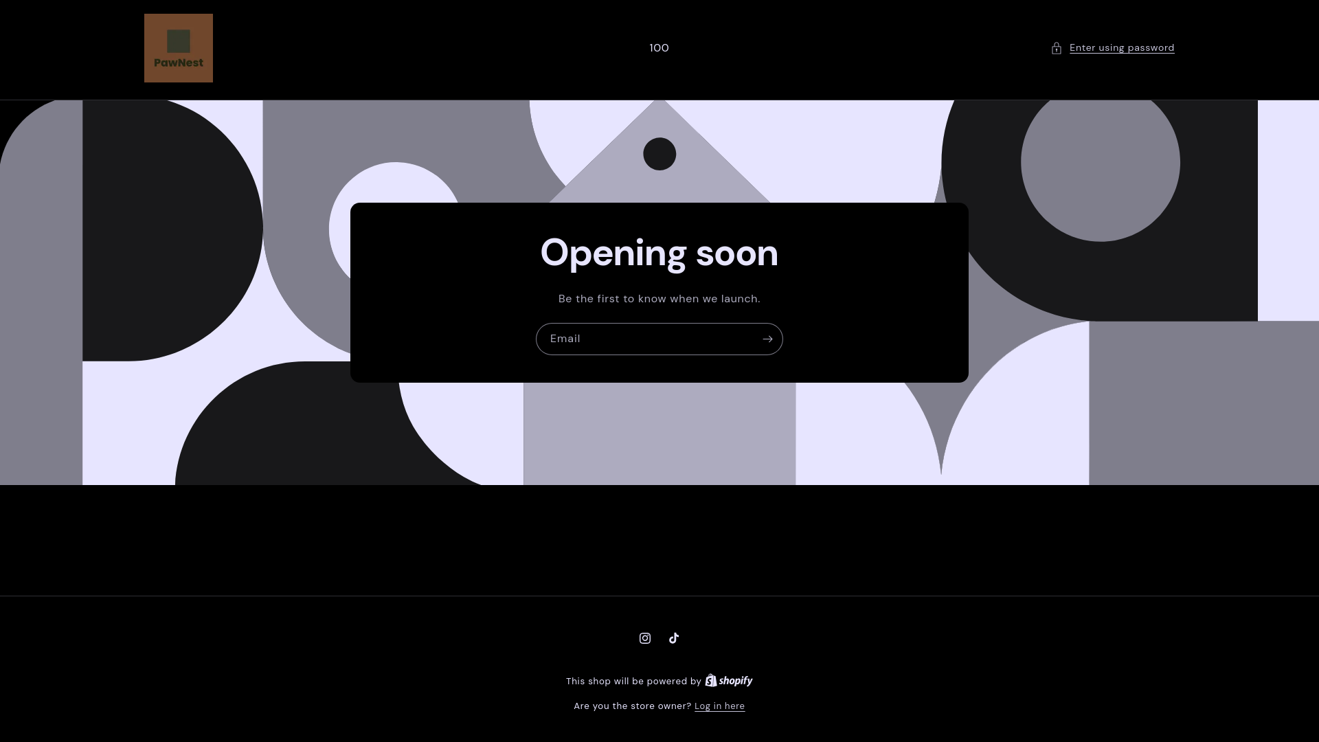 website screenshot of https://shop-pawnest.com/