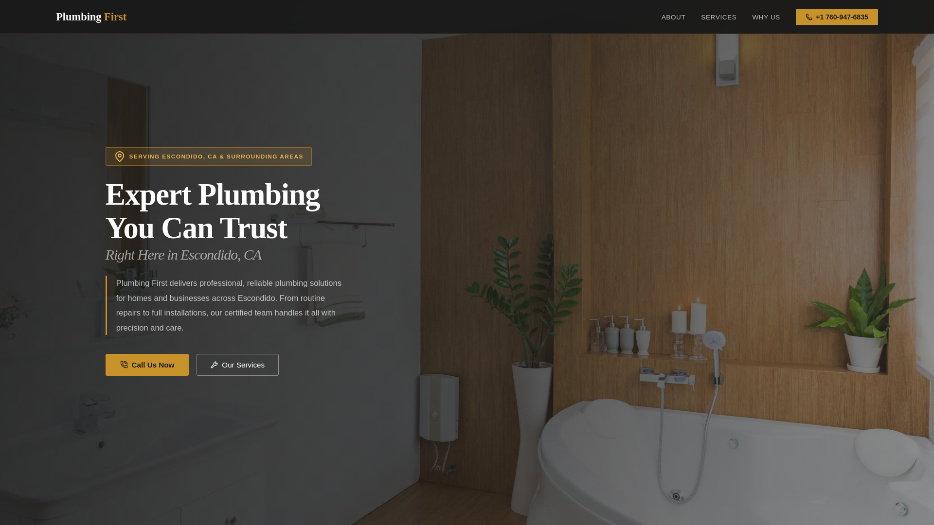 website screenshot of https://plumbingfirstpro.com/